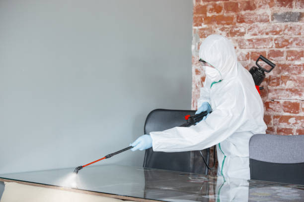 Best Residential Mold Inspection & Testing  in Howland Center, OH